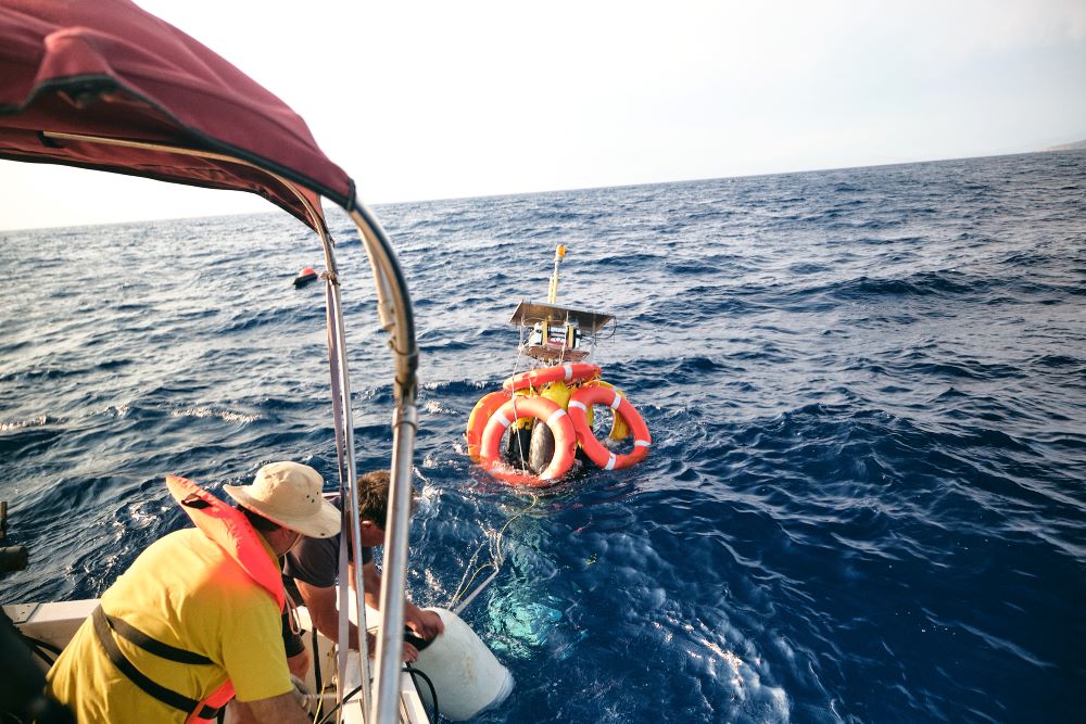 SAvE_Whales_buoy2_copyright_OceanCare.jpg