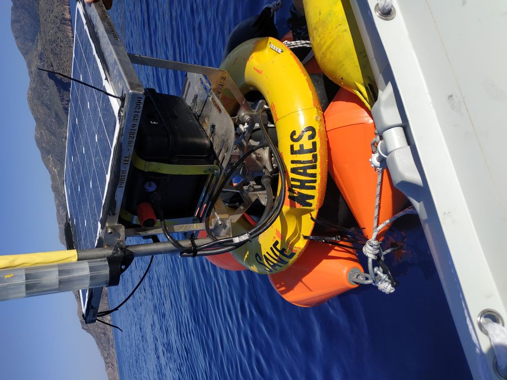 SaveMoby_Hightech-Boje_im_Wasser_copyright_Pelagos_Cetacean_Research_Institute_2021_A1.jpg