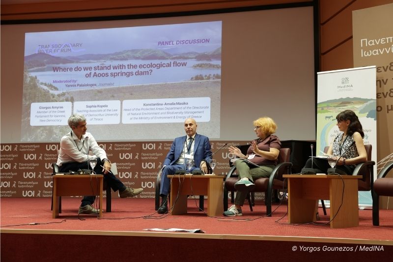 TRF_Panel_Discussion_3__Yorgos_Gounezos_-_MedINA.jpg