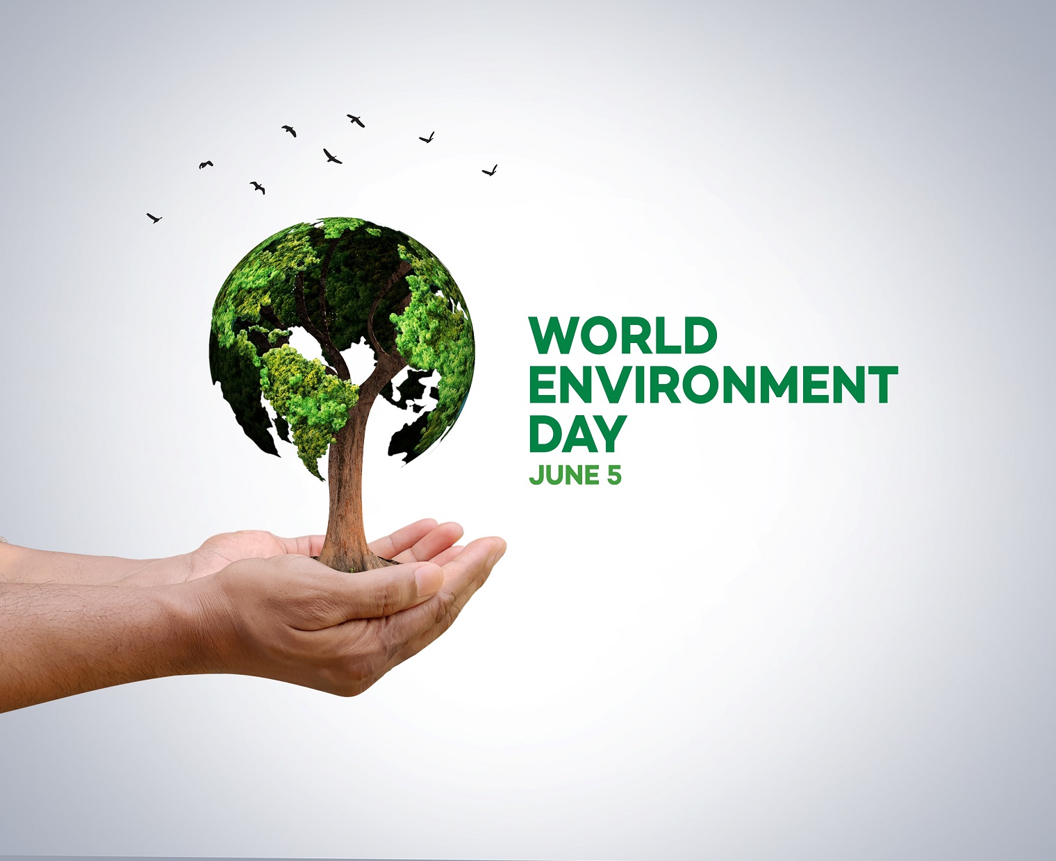 World_Environment_Day_2023.jpg