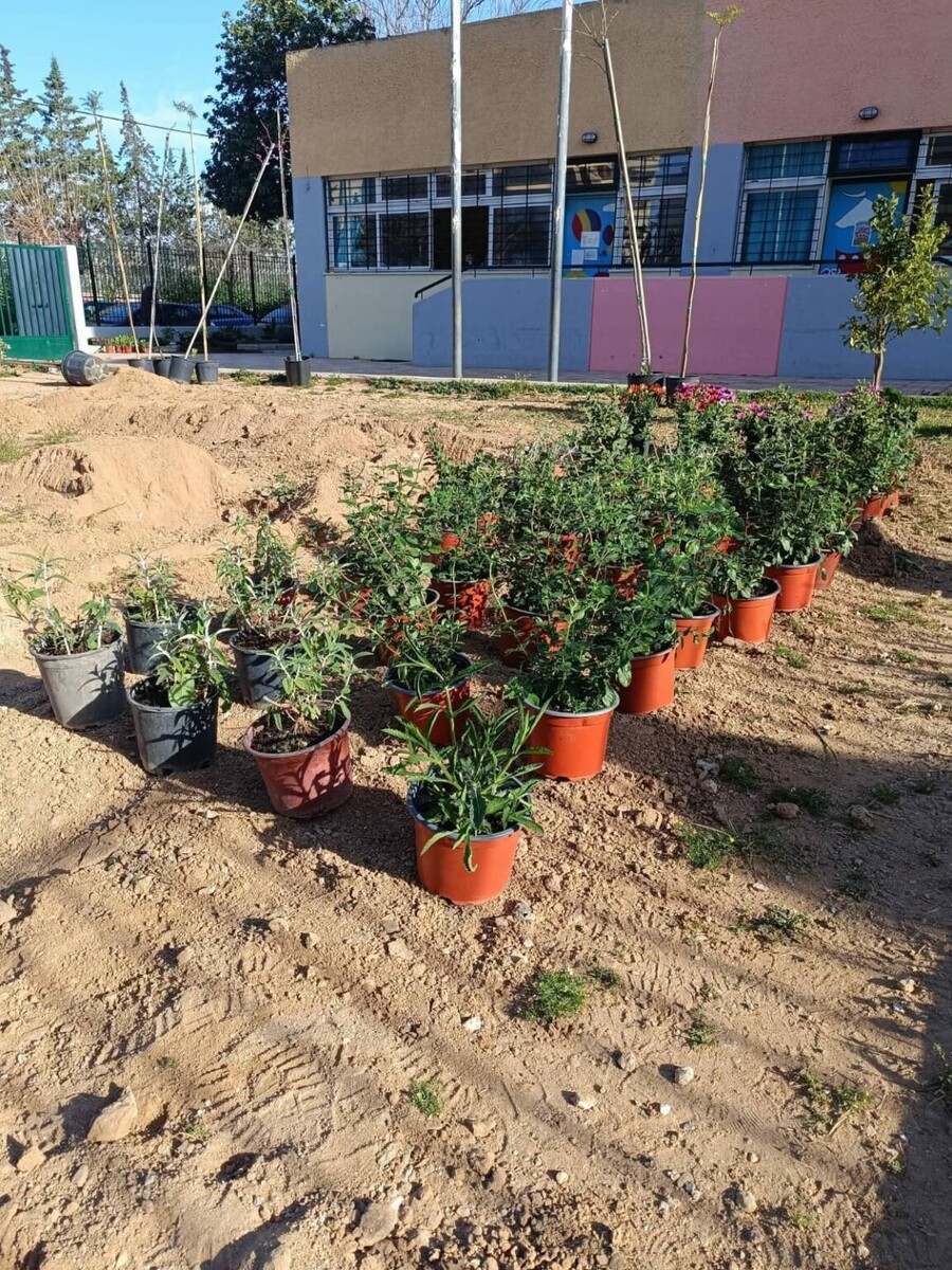 whatsapp-image-2026-05-07-at-9.53.25-am-3-1152x1536_c469c.jpeg