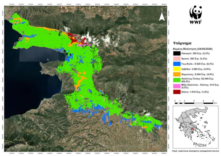 fires_2026_map02_84425.jpg