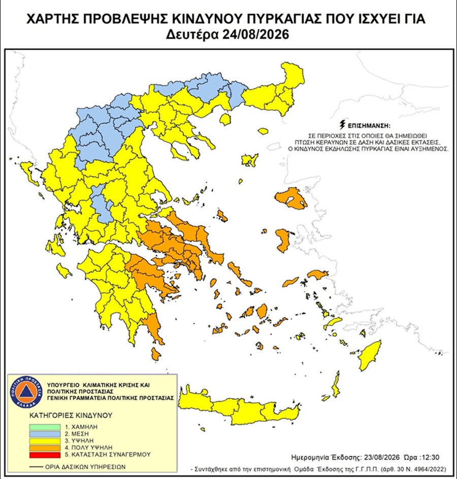 pyrkagia_aa01de9e5cd15ad8.jpeg