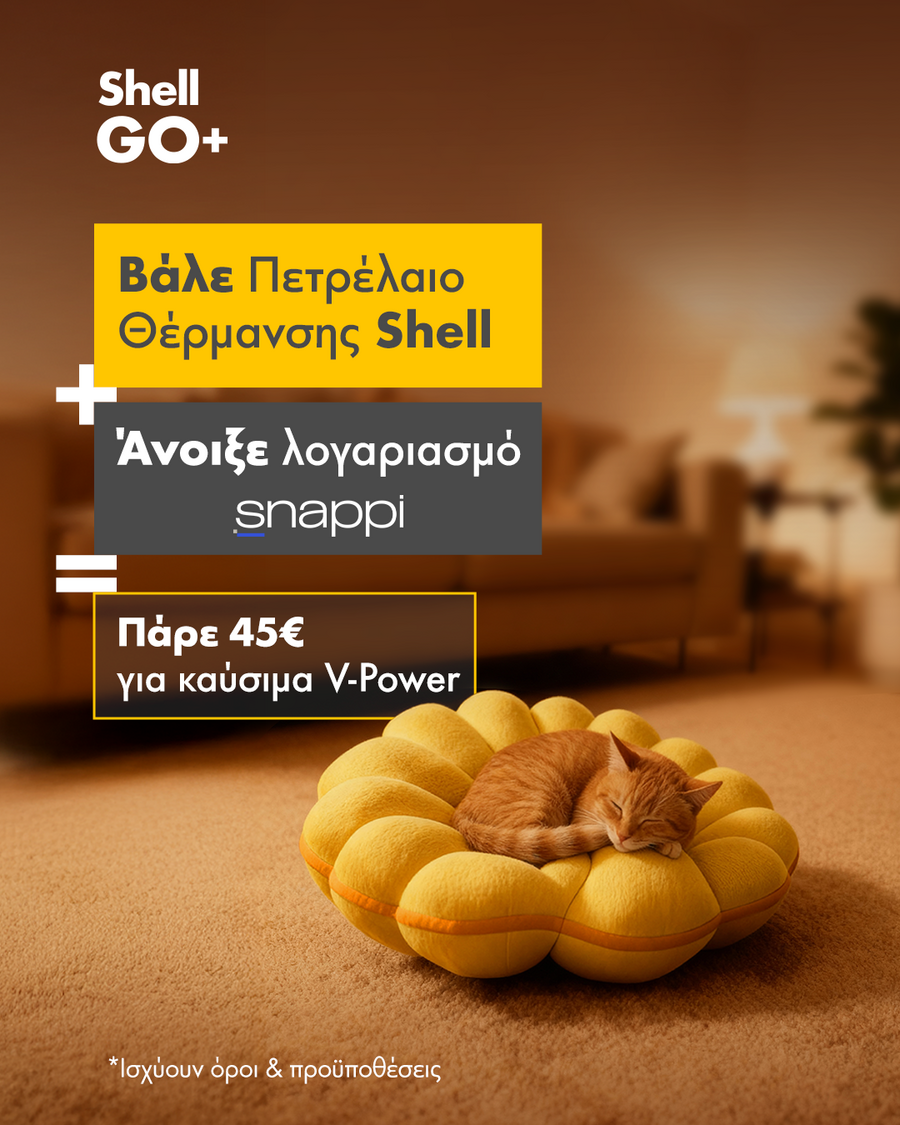 shellxsnappi_6eea22f00eb9a70c.png