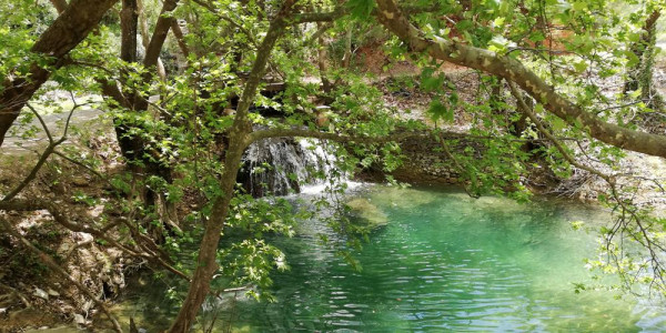 Περιβαλλοντικές Οργανώσεις: Υπέρ του διαλόγου με το ΥΠΕΝ με στόχο τη θωράκιση του φυσικού πλούτου