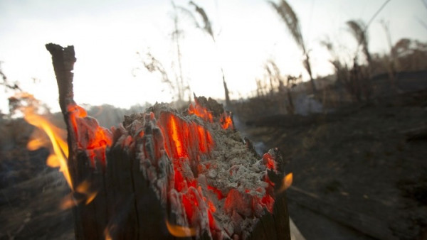 Αμαζόνιος: Οι φλόγες συνεχίζουν το καταστροφικό τους έργο