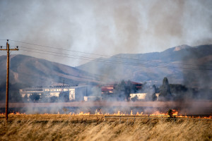 Ερώτηση ΣΥΡΙΖΑ για αποψίλωση των ξερόχορτων κάτω από δίκτυο ηλεκτροδότησης