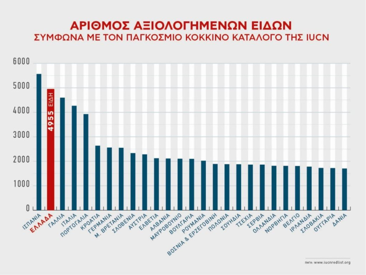 Δεύτερη σε Ευρωπαϊκό επίπεδο η Ελλάδα στα αξιολογημένα είδη ως προς τον κίνδυνο εξαφάνισης