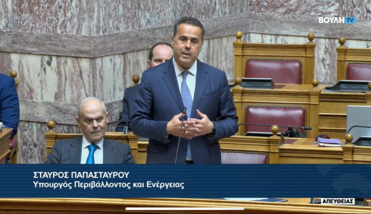 Στ. Παπασταύρου: Με το σχέδιο νόμου για τη RED III ενισχύουμε την ενεργειακή δημοκρατία