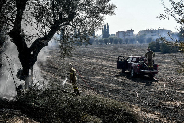 Πολύ υψηλός κίνδυνος πυρκαγιάς (κατηγορία κινδύνου 4) για σήμερα Πέμπτη 14 Αυγούστου 2025