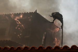 Γιάννης Τριήρης: Προδιαγεγραμμένο έγκλημα οι καταστροφές από τις πυρκαγιές