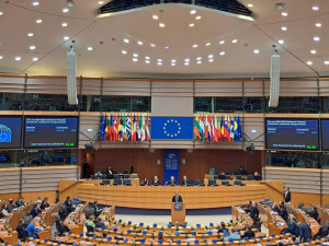 Το ΕλΔΑΠ στο Ευρωπαϊκό Κοινοβούλιο: Στόχος η θωράκιση των πόλεών μας και η εξασφάλιση ευρωπαϊκών πόρων για την Πολιτική Προστασία