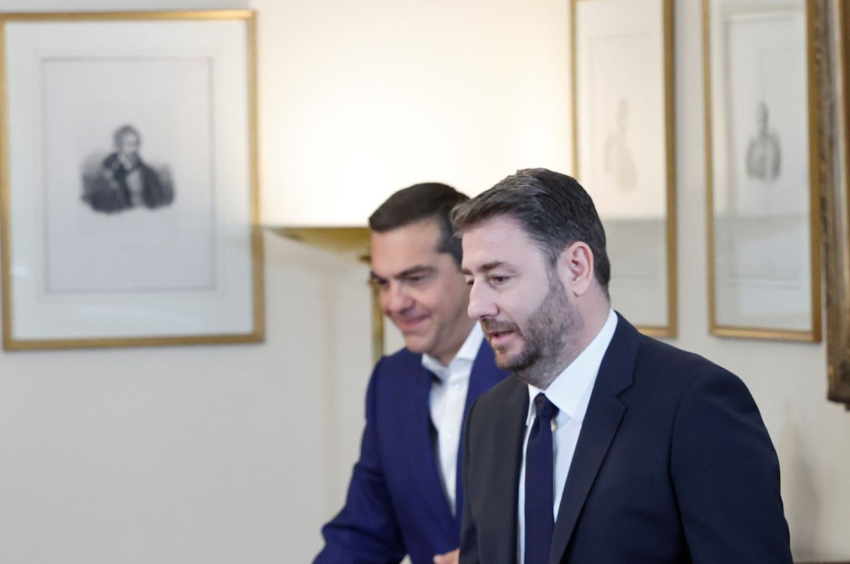 Γιάννης Τριήρης: Αν το 80% των προγραμμάτων τους είναι ίδιο, γιατί Τσίπρας και ΠΑΣΟΚ πρέπει να είναι εχθροί;