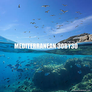 WWF: Προστατεύοντας το 30% της Μεσογείου μέχρι το 2030 μπορούμε να διασφαλίσουμε ένα βιώσιμο μέλλον για τους ανPROSTASIAθρώπους της
