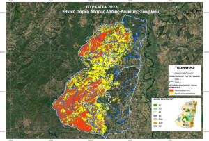 Αποτίμηση επιπτώσεων πυρκαγιάς στο Εθνικό Πάρκο Δάσους Δαδιάς – Λευκίμης Σουφλίου