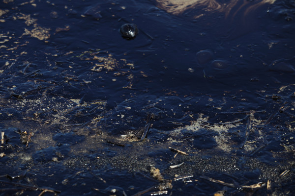 Σε παραλίες έφτασε πετρέλαιο που διέρρευσε στον Κόλπο του Μεξικού