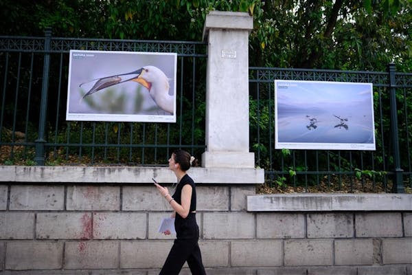 Η ομορφιά των περιοχών Natura 2000 στην καρδιά της Αθήνας