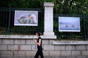 Η ομορφιά των περιοχών Natura 2000 στην καρδιά της Αθήνας