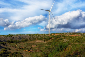 ΕΛΕΤΑΕΝ: Επιστολή στο ΥΠΕΝ για την απόδοση τέλους 1% στους οικιακούς καταναλωτές