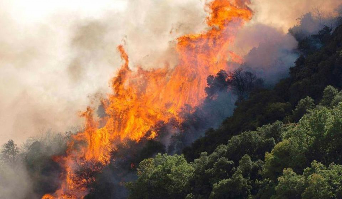 140 εκατ. ευρώ και πάνω από 500 στελέχη στις δασικές υπηρεσίες για την πρόληψη πυρκαγιών