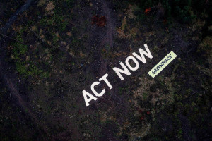 Greenpeace: Επιστολές προς Υπουργείο Περιβάλλοντος και Ενέργειας και Υπουργείο Αγροτικής Ανάπτυξης και Τροφίμων