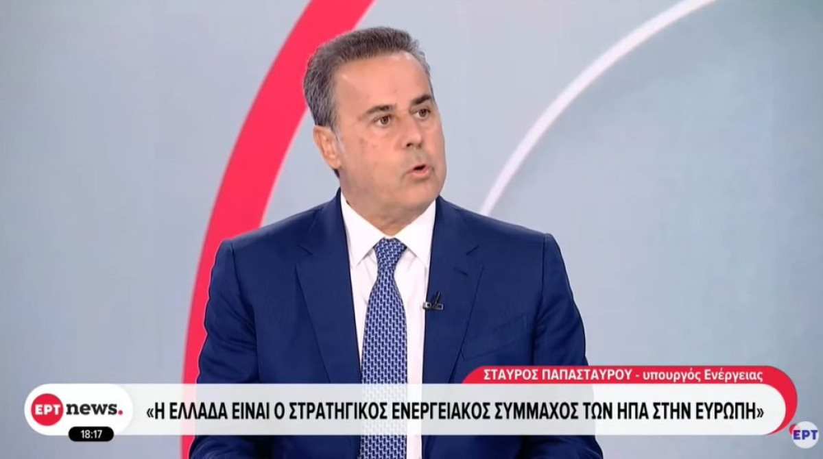 Παπασταύρου: Για κάποιους ήμασταν ο δεδομένος σύμμαχος, αλλά εξελιχθήκαμε σε σταθερό, αξιόπιστο και αποτελεσματικό σύμμαχο των ΗΠΑ