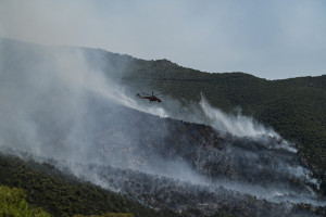 Οικονόμου: Αύξηση 70% των πυρκαγιών. Σε εξέλιξη το πρόγραμμα Προληπτικών Καθαρισμών Antinero