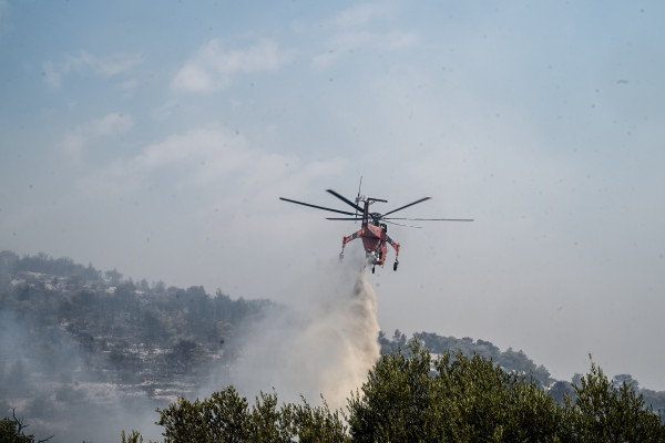 Το Κοινωφελές Ίδρυμα Αθανάσιος Κ. Λασκαρίδης συνδράμει στην αποκατάσταση της Πάρνηθας