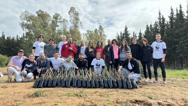 WWF: Συλλέγουμε σπόρους για ένα ζωντανό δάσος, με την ενεργή συμβολή των πολιτών