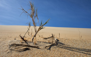 Προειδοποιήσεις Γκουτέρες: Μέχρι το 2050 τα τρία τέταρτα των ανθρώπων μπορεί να ζουν με ξηρασία