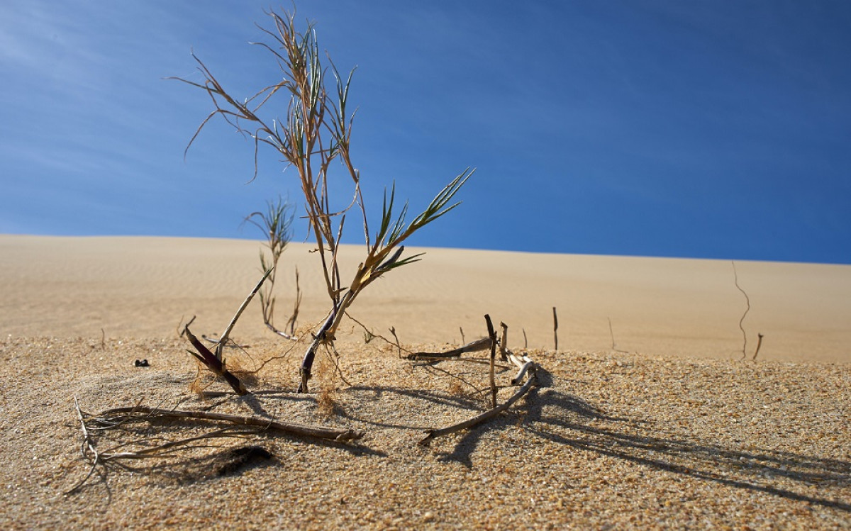 Προειδοποιήσεις Γκουτέρες: Μέχρι το 2050 τα τρία τέταρτα των ανθρώπων μπορεί να ζουν με ξηρασία