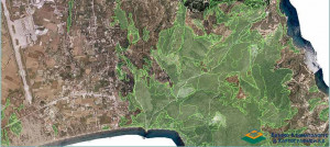 ΠΟΜΙΔΑ σε ΥΠΕΝ: Παράταση της υποβολής αιτήσεων για τους δασικούς χάρτες