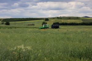 Γιάννης Τριήρης: Εμφανίζουν τις απάτες ως ρουσφέτια και νομίζουν ότι αθωώνονται
