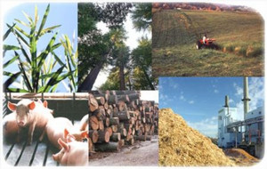 Αγρότες σε ρόλο ηλεκτροπαραγωγού - Τι προβλέπει τροπολογία του ΥΠΕΝ για τη δημιουργία μονάδων βιομάζας / βιοαερίου