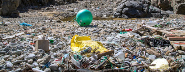 WWF Eλλάς: Τα αναγκαία μέτρα για να μειωθεί η πλαστική ρύπανση