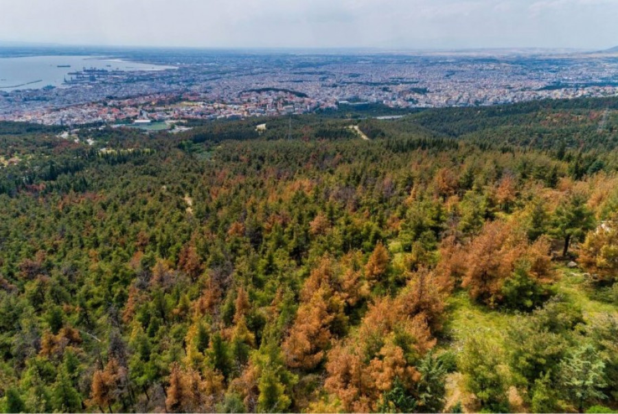 Απάντηση Φάμελλου, στις δηλώσεις στην πρόεδρο του ΚΙΝΑΛ, Φώφη Γεννηματά, για το Σέιχ Σου