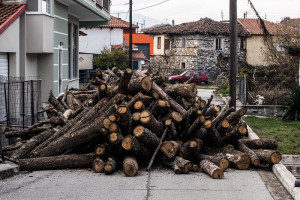 Αμυράς: Δωρεάν καυσόξυλα στους κατοίκους ορεινών περιοχών