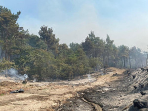 Στη διάθεση του ΥΠΕΝ το Δημοκρίτειο Πανεπιστήμιο Θράκης για την αποκατάσταση του δάσους της Δαδιάς