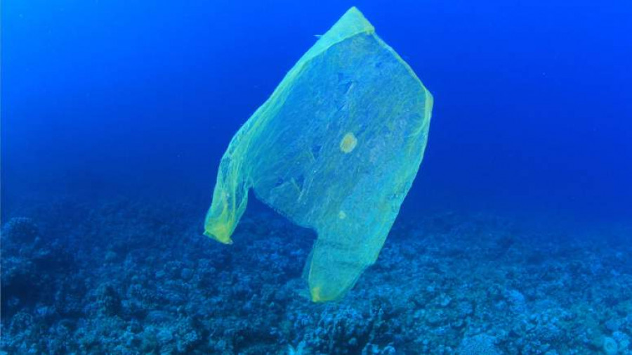 Πρόσκληση για συμμετοχή στην ηλεκτρονική διαβούλευση για ﻿ την ενσωμάτωση της Οδηγίας 2019/904/ΕΕ για τα Πλαστικά Μιας Χρήσης &amp; τα Αλιευτικά προϊόντα