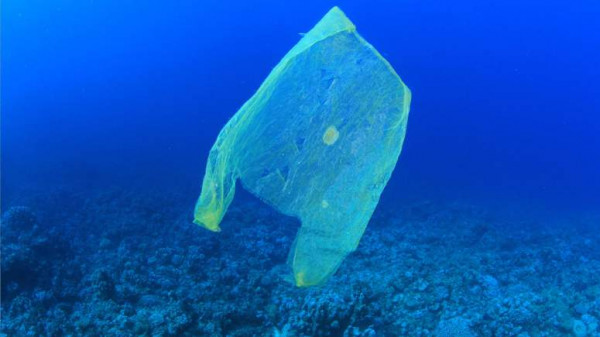 Πρόσκληση για συμμετοχή στην ηλεκτρονική διαβούλευση για ﻿ την ενσωμάτωση της Οδηγίας 2019/904/ΕΕ για τα Πλαστικά Μιας Χρήσης &amp; τα Αλιευτικά προϊόντα