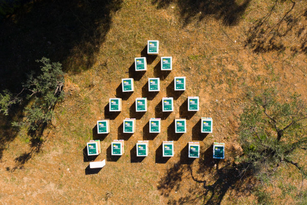 Bee the Change – Make the Difference: Κωτσόβολος και ΑΦΗΣ ενισχύουν τη βιοποικιλότητα