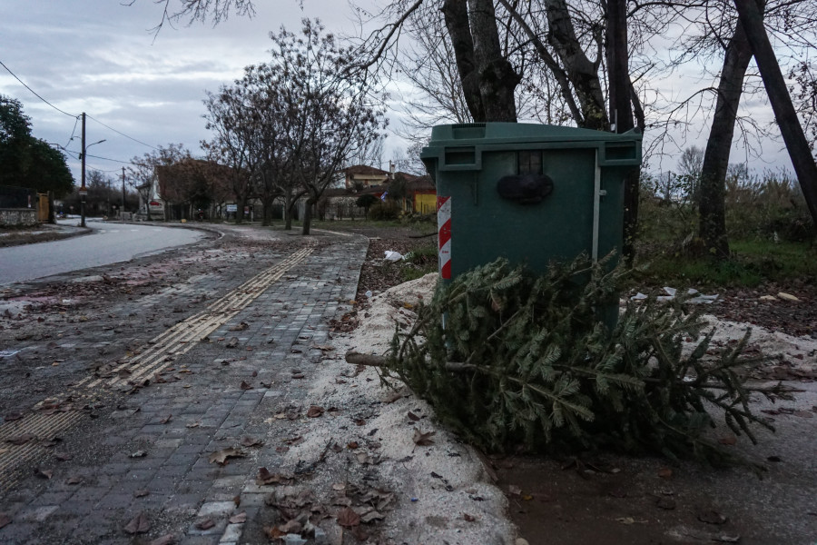 Δήμος Θεσσαλονικης: Αποκομιδή και ανακύκλωση των φυσικών Χριστουγεννιάτικων δέντρων