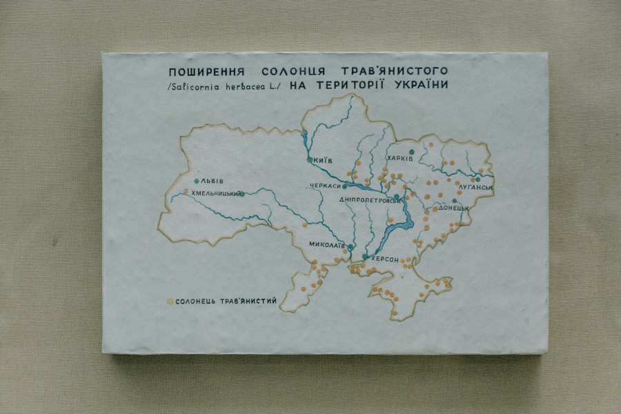 Γιάννης Τριήρης: Ο Τραμπ το χρήμα, ο Πούτιν τα εδάφη, οι Ευρωπαίοι τον «μουτζούρη»
