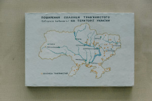 Γιάννης Τριήρης: Ο Τραμπ το χρήμα, ο Πούτιν τα εδάφη, οι Ευρωπαίοι τον «μουτζούρη»