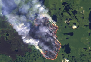 Η Βραζιλία αναλαμβάνει δράση για τις πυρκαγιές στον Αμαζόνιο