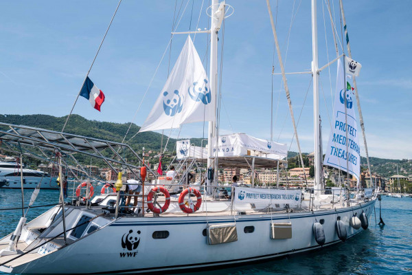 Το ιστιοπλοϊκό του WWF ταξιδεύει στη Μεσόγειο αναδεικνύοντας την ανάγκη προστασίας της