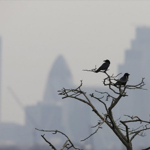 Το Λονδίνο εξετάζει την απαγόρευση των σομπών ξύλου για την αντιμετώπιση της ατμοσφαιρικής ρύπανσης