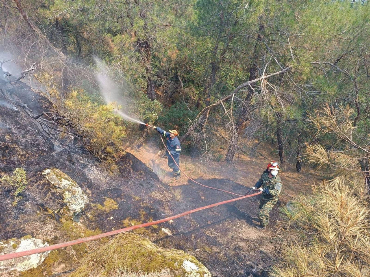 Τα πύρινα μέτωπα στο Εθνικό Πάρκο Δαδιάς