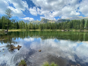 Ευρωπαϊκή ημέρα NATURA 2000 με εκδηλώσεις σε όλη την Ελλάδα
