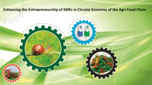 Κυκλική Οικονομία στις Μικρομεσαίες Επιχειρήσεις του κλάδου της Αγροδιατροφής: 4η Συνάντηση της Τοπικής Ομάδας Υποστήριξης του έργου INTERREG EUROPE “SinCE-AFC” στην Περιφέρεια Κεντρικής Μακεδονίας